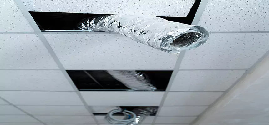 Our Air Duct Pet Hair Removal Services in Rochester, NY