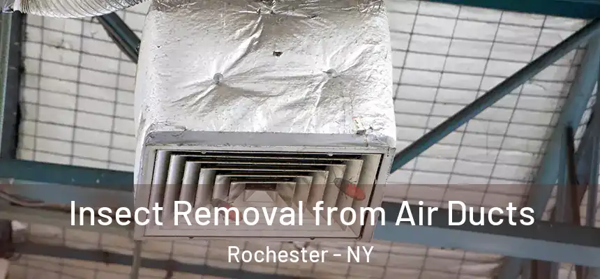  Insect Removal from Air Ducts Rochester - NY