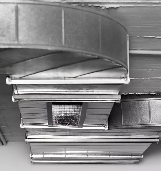 Professional Air Duct Pest Removal in Rochester, NY