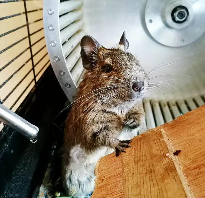 Why Homeowners & Businesses Trust Us Rochester, NY?