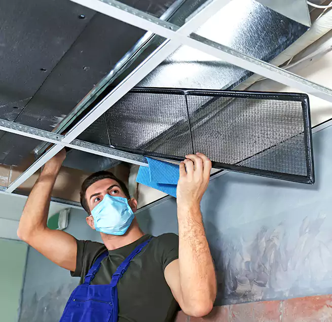 Why Homeowners Businesses Trust Us in Rochester, NY